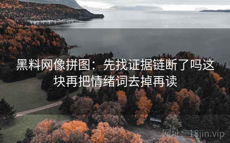 黑料网像拼图:先找证据链断了吗这块再把情绪词去掉再读 黑料网像拼图:先找证据链断了吗这块再把情绪词去掉再读