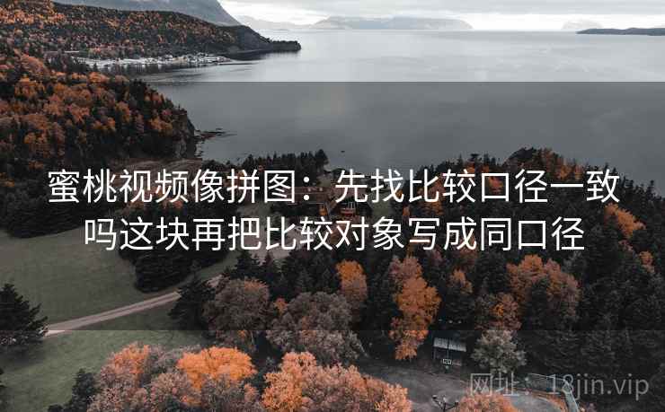 蜜桃视频像拼图：先找比较口径一致吗这块再把比较对象写成同口径